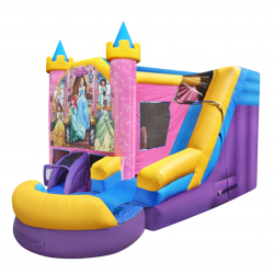 8 1693981699 1 DISNEY PRINCESS 6-in-1 Combo Wet/Dry