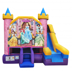 9 1693983968 DISNEY PRINCESS 6-in-1 Combo Wet/Dry